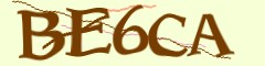 Enter the character string shown in the picture